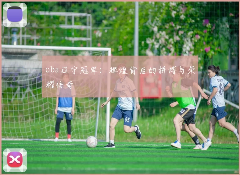 cba辽宁冠军：辉煌背后的拼搏与荣耀传奇