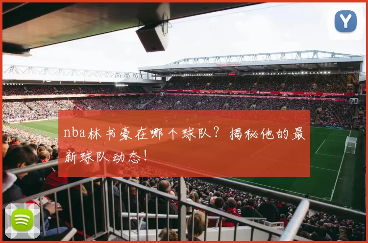 nba林书豪在哪个球队？揭秘他的最新球队动态！