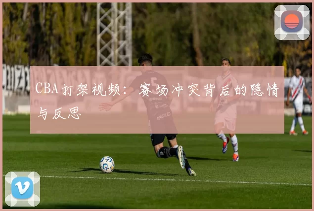 CBA打架视频：赛场冲突背后的隐情与反思