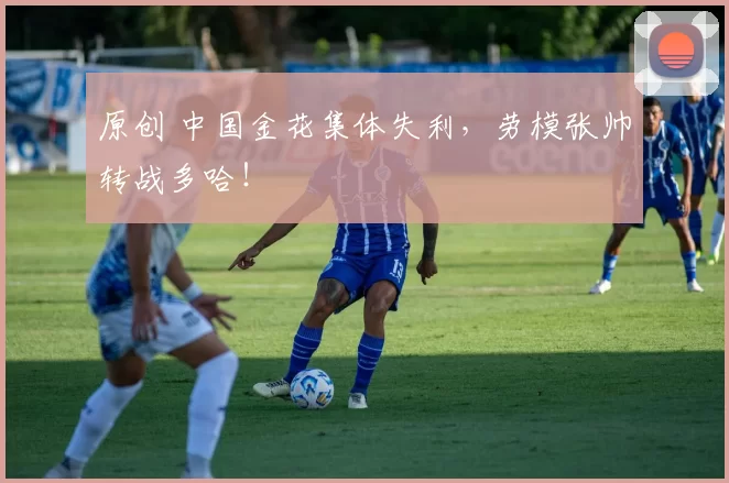 原创 中国金花集体失利，劳模张帅转战多哈！