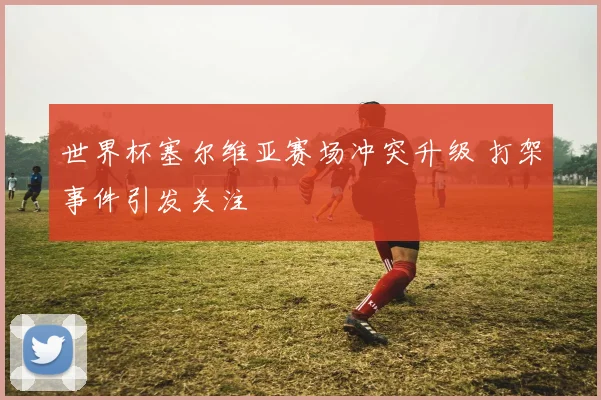 世界杯塞尔维亚赛场冲突升级 打架事件引发关注