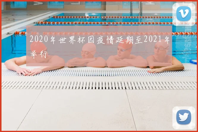 2020年世界杯因疫情延期至2021年举行